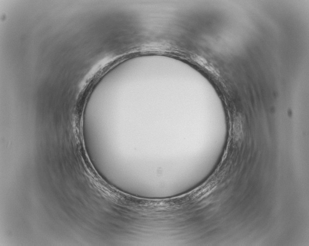 X0000059231454200511041229