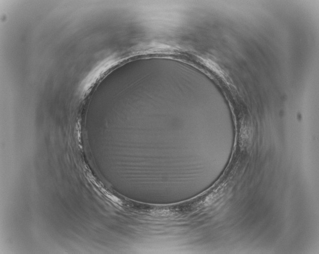 X0000059231455200511041229