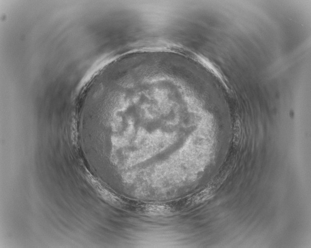 X0000059231456200511041229