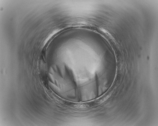 X0000059231457200511041229