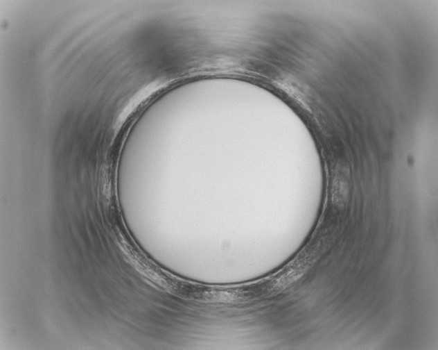 X0000059231458200511041229