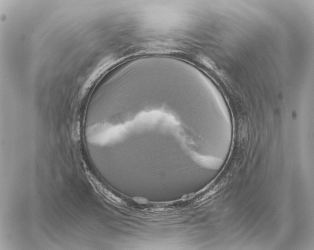 X0000059231459200511041229