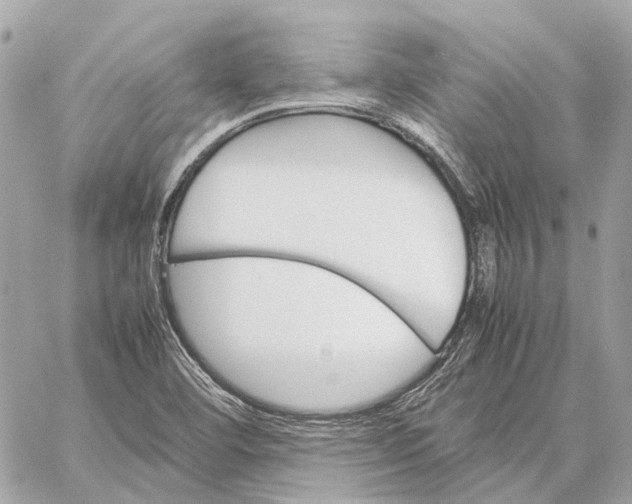 X0000059231460200511041229