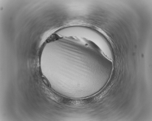 X0000059231461200511041229