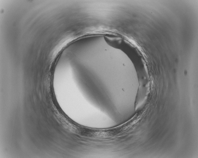 X0000059231463200511041229