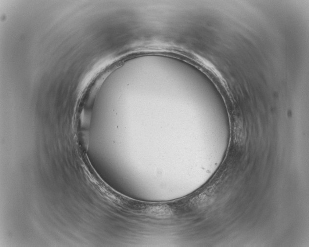 X0000059231464200511041229