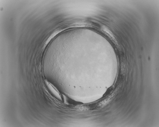 X0000059231465200511041229