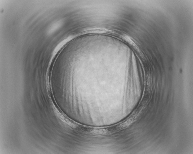 X0000059231466200511041229