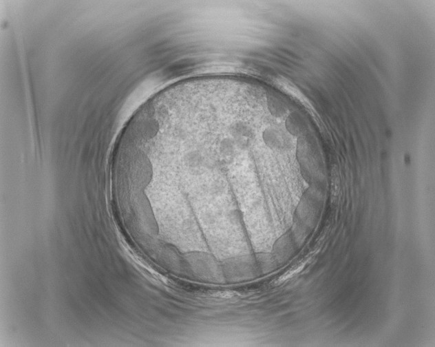 X0000059231467200511041229