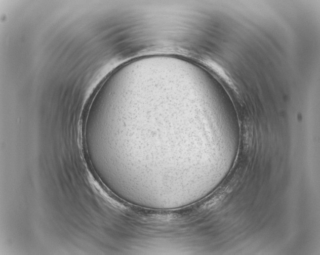 X0000059231468200511041229