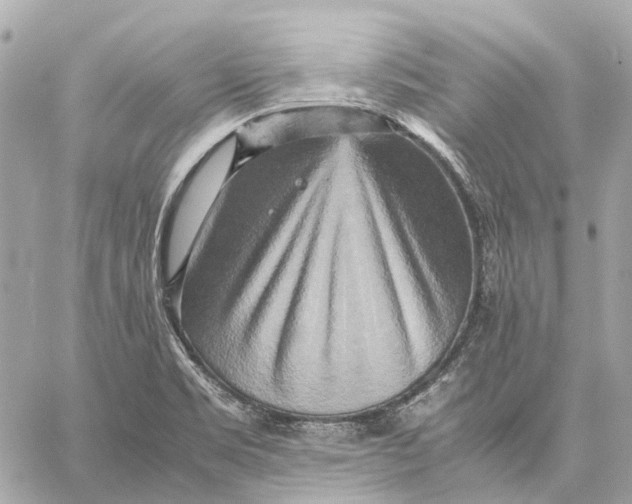 X0000059231469200511041229