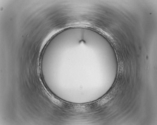 X0000059231470200511041229