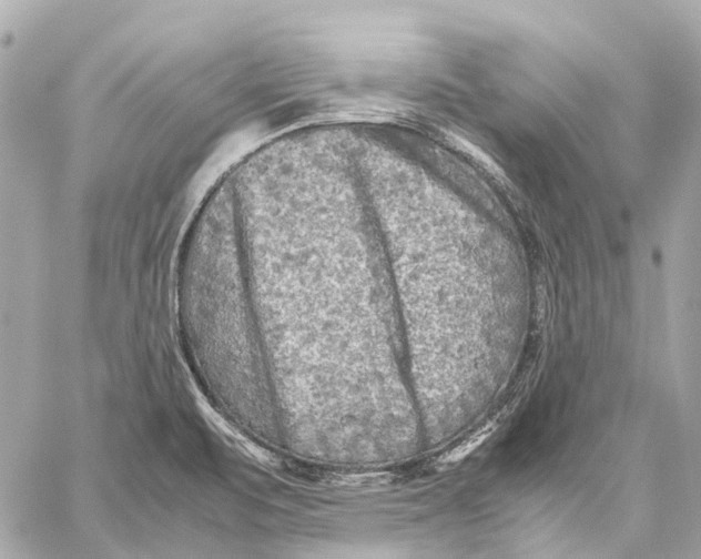 X0000059231471200511041229