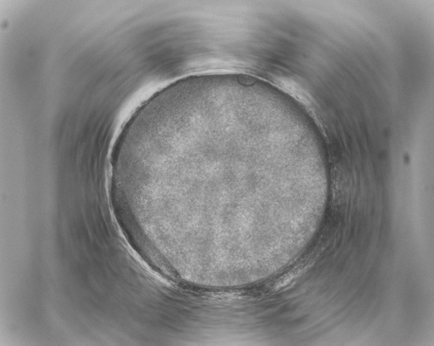 X0000059231472200511041229