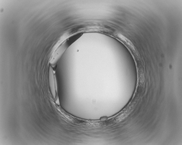 X0000059231473200511041229