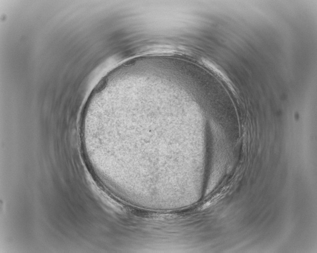 X0000059231475200511041229