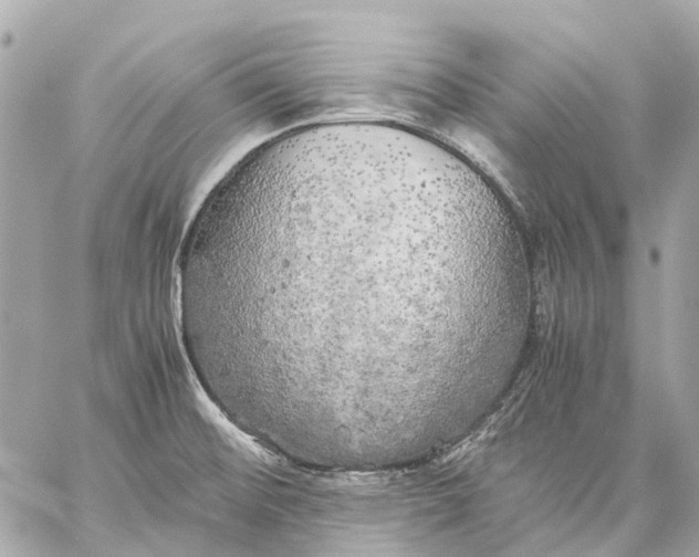 X0000059231476200511041229