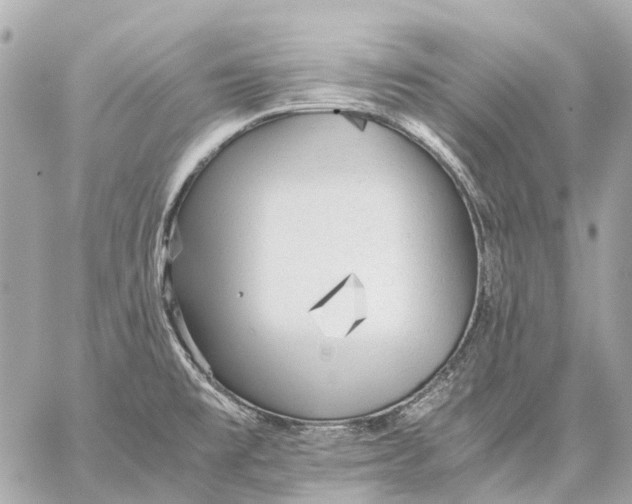 X0000059231477200511041229