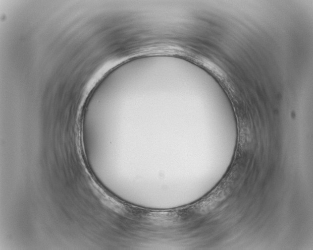 X0000059231478200511041229