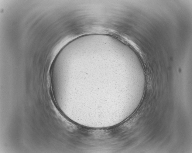 X0000059231479200511041229