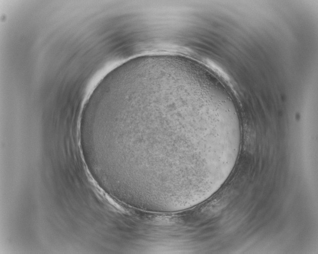 X0000059231480200511041229