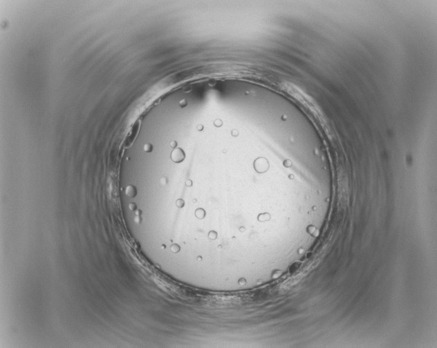 X0000059231481200511041229