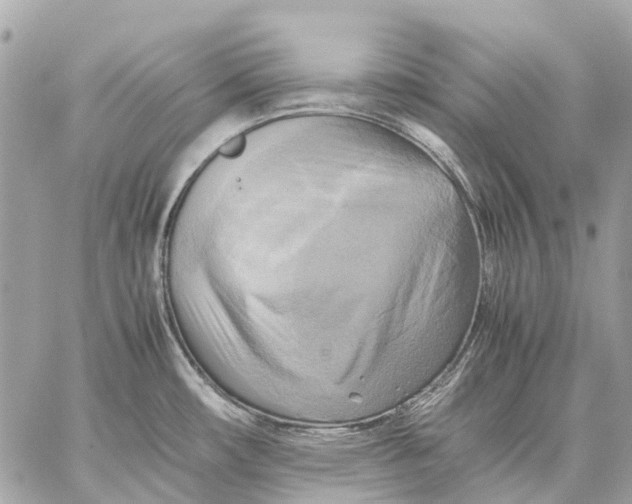 X0000059231482200511041229