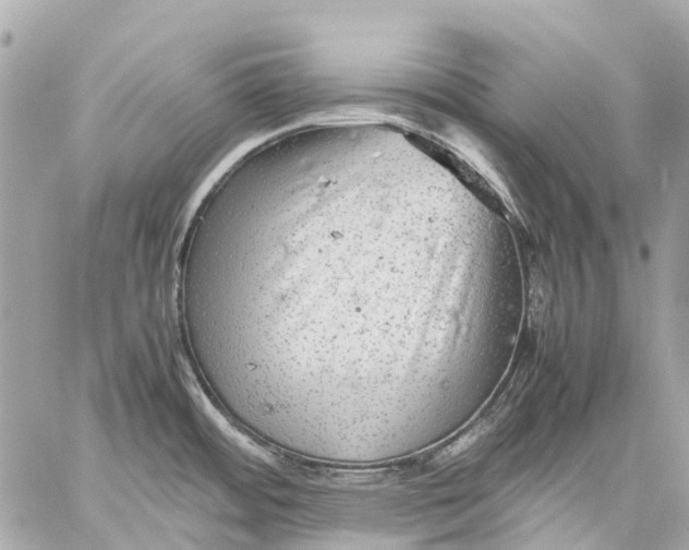 X0000059231484200511041229