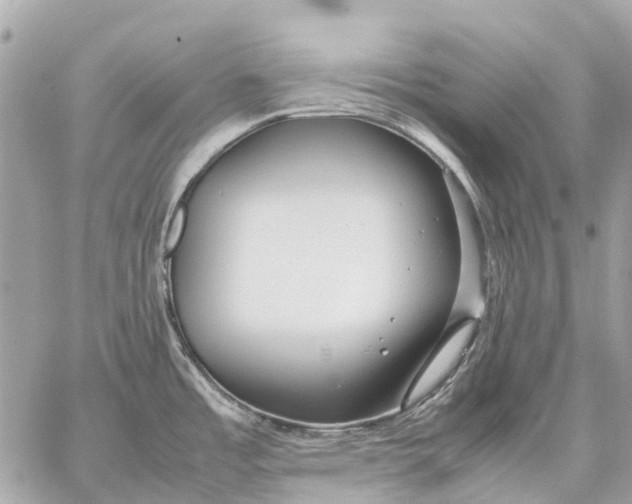 X0000059231485200511041229