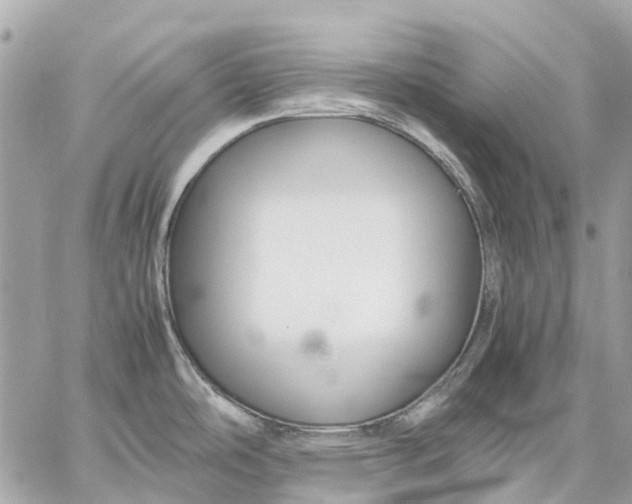 X0000059231486200511041229