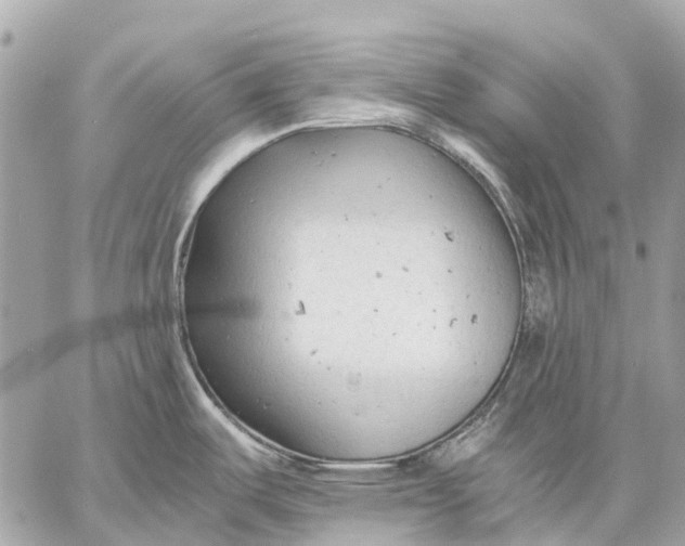 X0000059231487200511041229