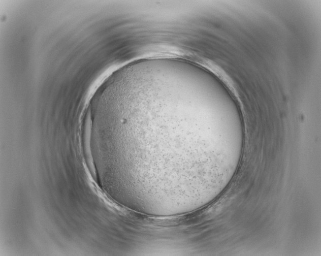 X0000059231488200511041229