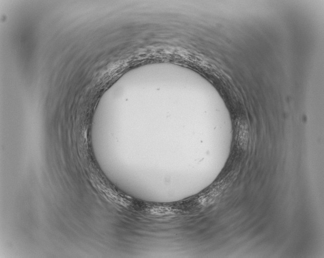 X0000059231489200511041228