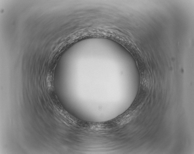 X0000059231490200511041228