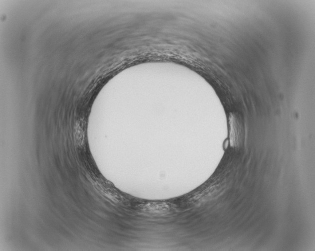 X0000059231491200511041228