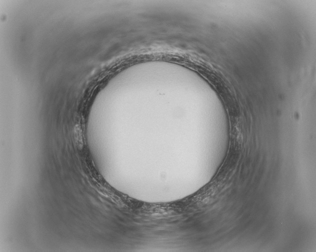 X0000059231493200511041228