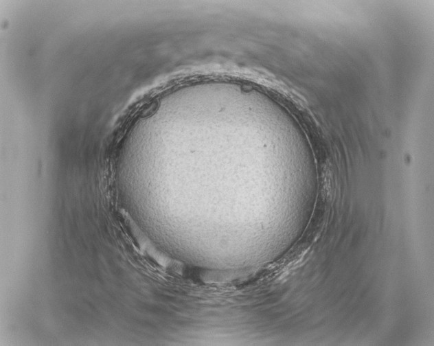 X0000059231494200511041228