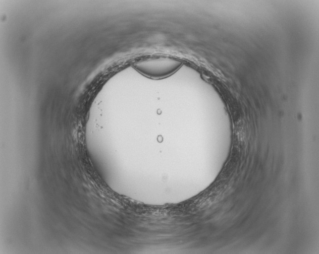 X0000059231495200511041228