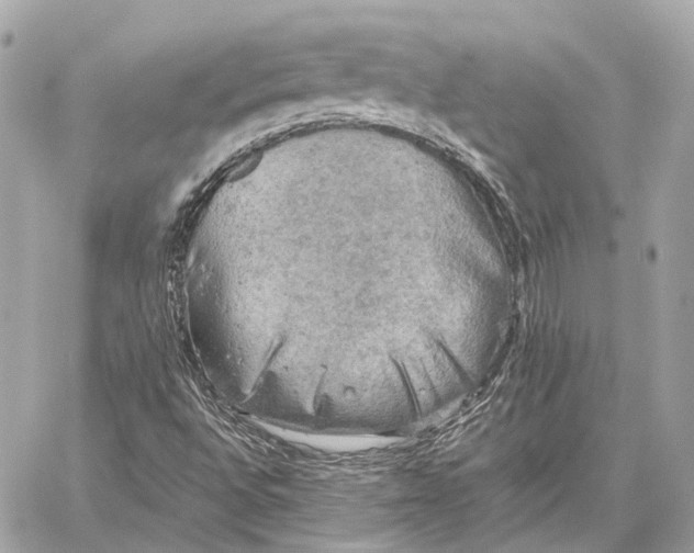 X0000059231496200511041228