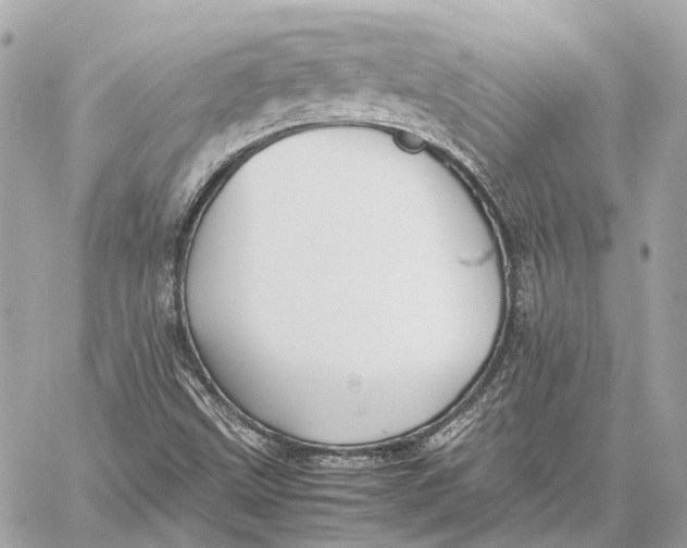 X0000059231499200511041228