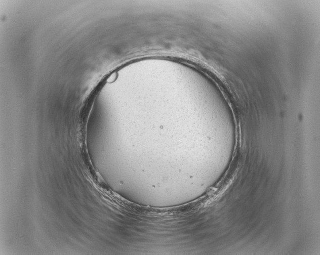 X0000059231501200511041228