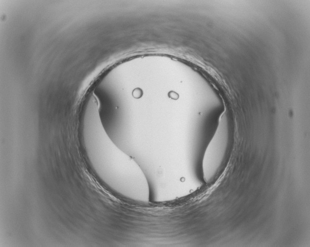 X0000059231502200511041228