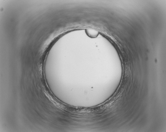 X0000059231503200511041228