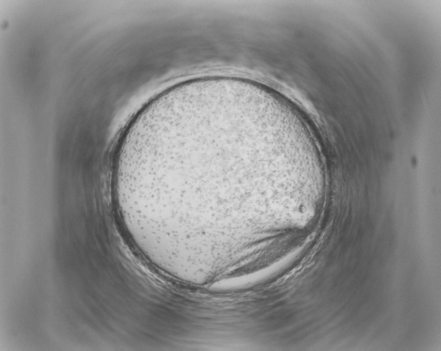 X0000059231504200511041228