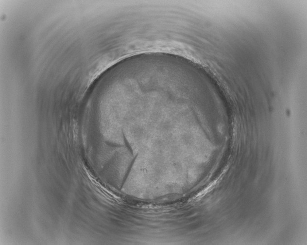 X0000059231505200511041228