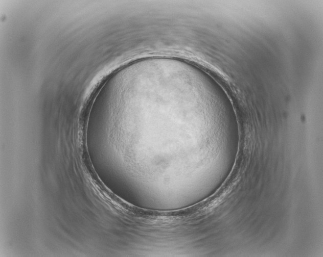 X0000059231506200511041228