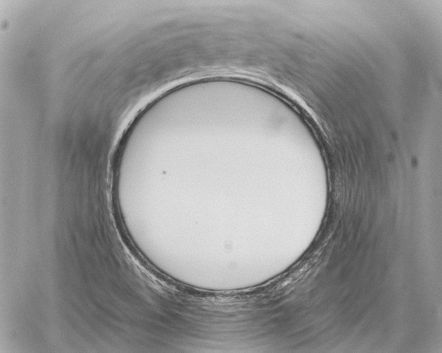 X0000059231508200511041228