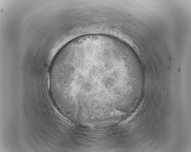 X0000059231509200511041228