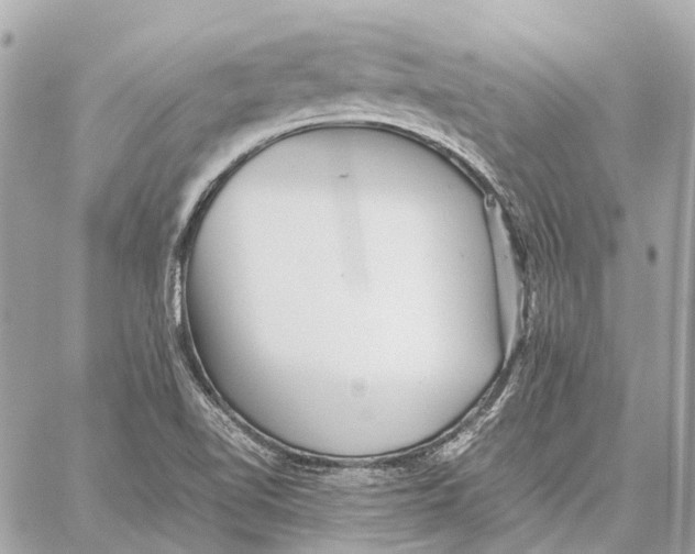 X0000059231510200511041228