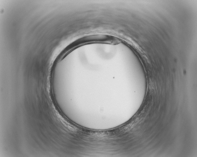 X0000059231512200511041228